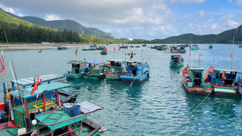 Bãi biển Họng Dầm - ảnh 4